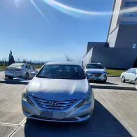 Hyundai Sonata 2010