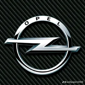 opel signum zapjaslary