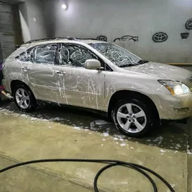 Lexus RX 330 2006