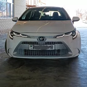 Toyota Corolla 2021