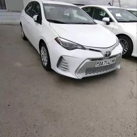 Toyota Corolla 2018