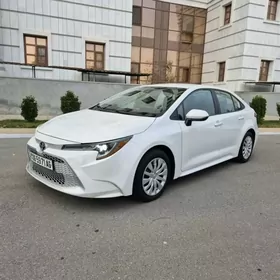 Toyota Corolla 2020