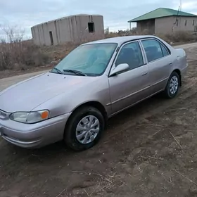 Toyota Corolla 2000