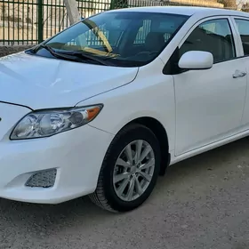 Toyota Corolla 2010