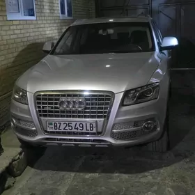 Audi Q5 2009