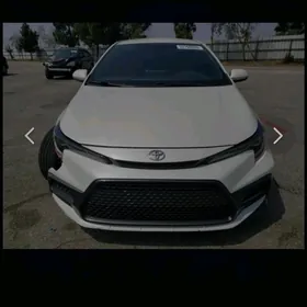 Toyota Corolla 2019