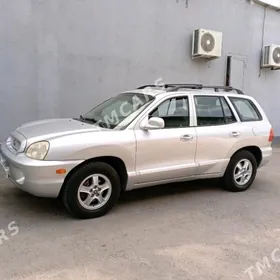 Hyundai Santa Fe 2002