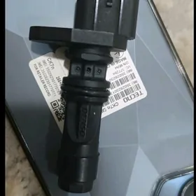 nissan nawara kola datcik