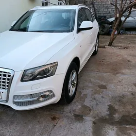 Audi Q5 2009