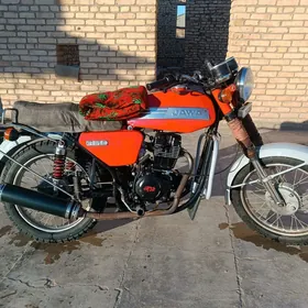 Jawa 300 2024