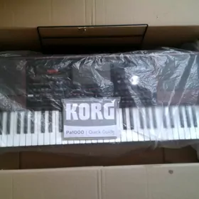 Korg PA 1000