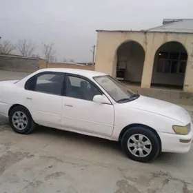 Toyota Corolla 1995