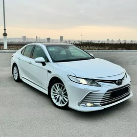 Toyota Camry 2019