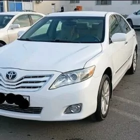 Toyota Camry 2010