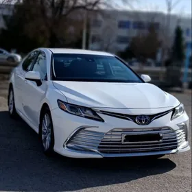 Toyota Camry 2019