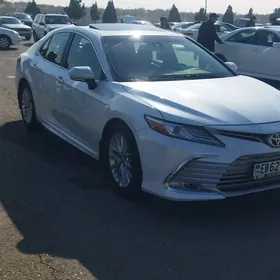 Toyota Camry 2019