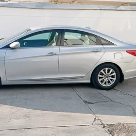 Hyundai Sonata 2010