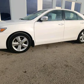 Toyota Camry 2010