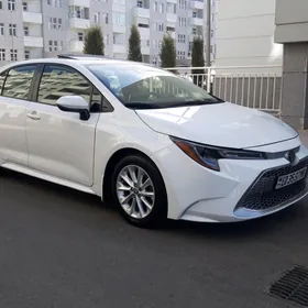 Toyota Corolla 2020