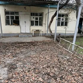 baha düşdi Ak altyn PLAN