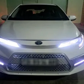 Toyota Corolla 2020