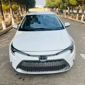 Toyota Corolla 2022