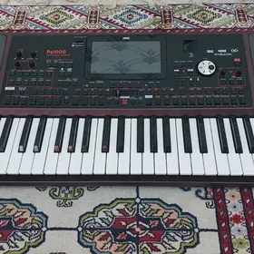 korg pa1000