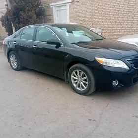 Toyota Camry 2010