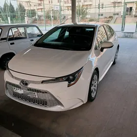 Toyota Corolla 2019