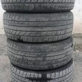 225/55R17 Compasil teker