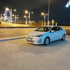 Toyota Corolla 2017