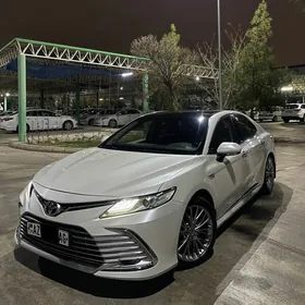 Toyota Camry 2019