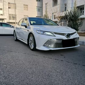 Toyota Camry 2019