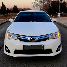 Toyota Camry 2013