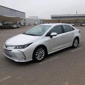 Toyota Corolla 2024