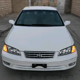 Toyota Camry 1999