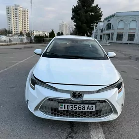 Toyota Corolla 2021