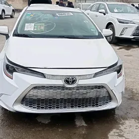 Toyota Corolla 2020