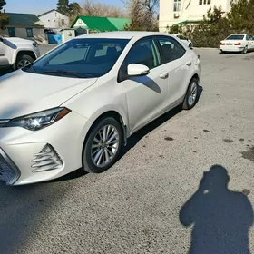 Toyota Corolla 2019