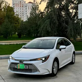 Toyota Corolla 2021