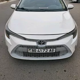 Toyota Corolla 2020