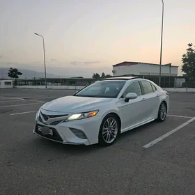 Toyota Camry 2020