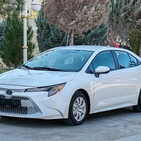 Toyota Corolla 2020