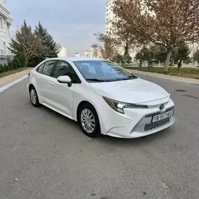 Toyota Corolla 2020