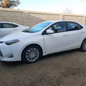 Toyota Corolla 2019