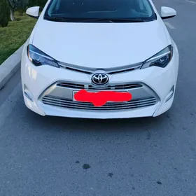 Toyota Corolla 2019