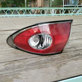 leksus stopnik