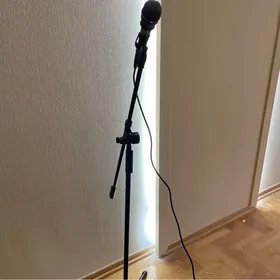 Stoyka microfon