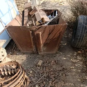 Бадя