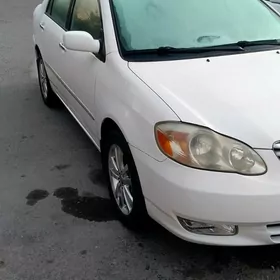 Toyota Corolla 2003